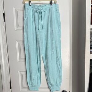 Aerie Light Blue Pants